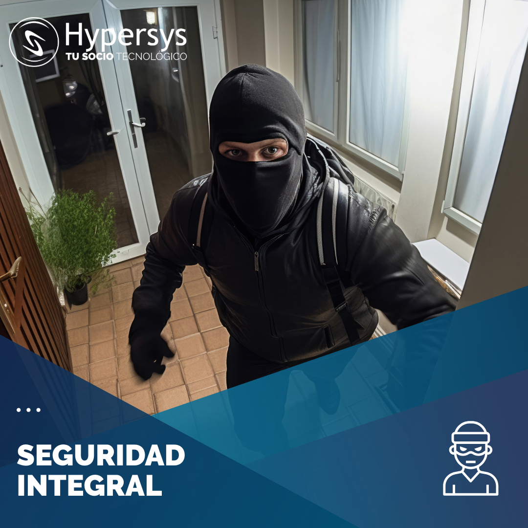 CÁMARAS DE SEGURIDAD PARA EMPRESAS